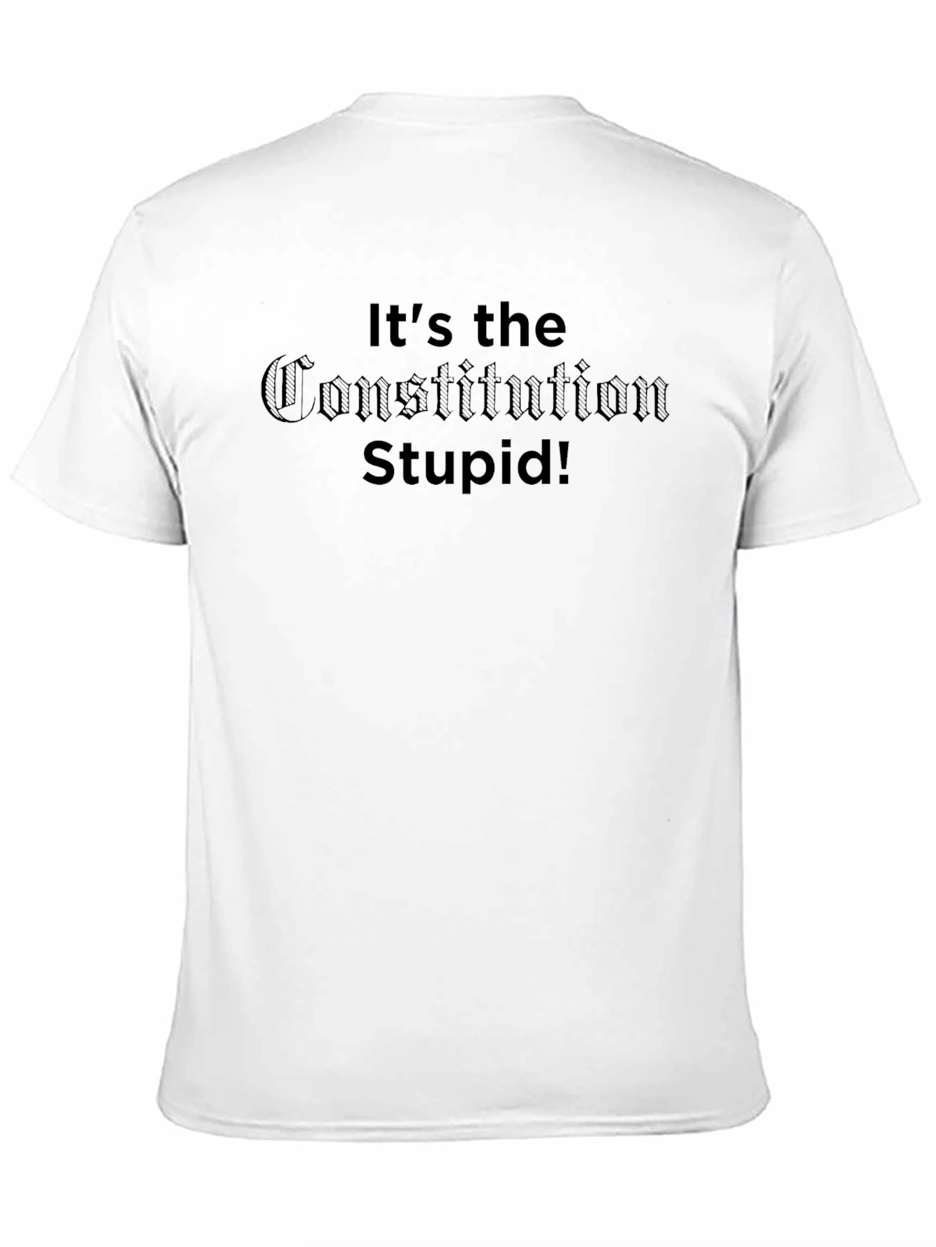 Its The Constitution Stupid! Graphic T-Shirt
