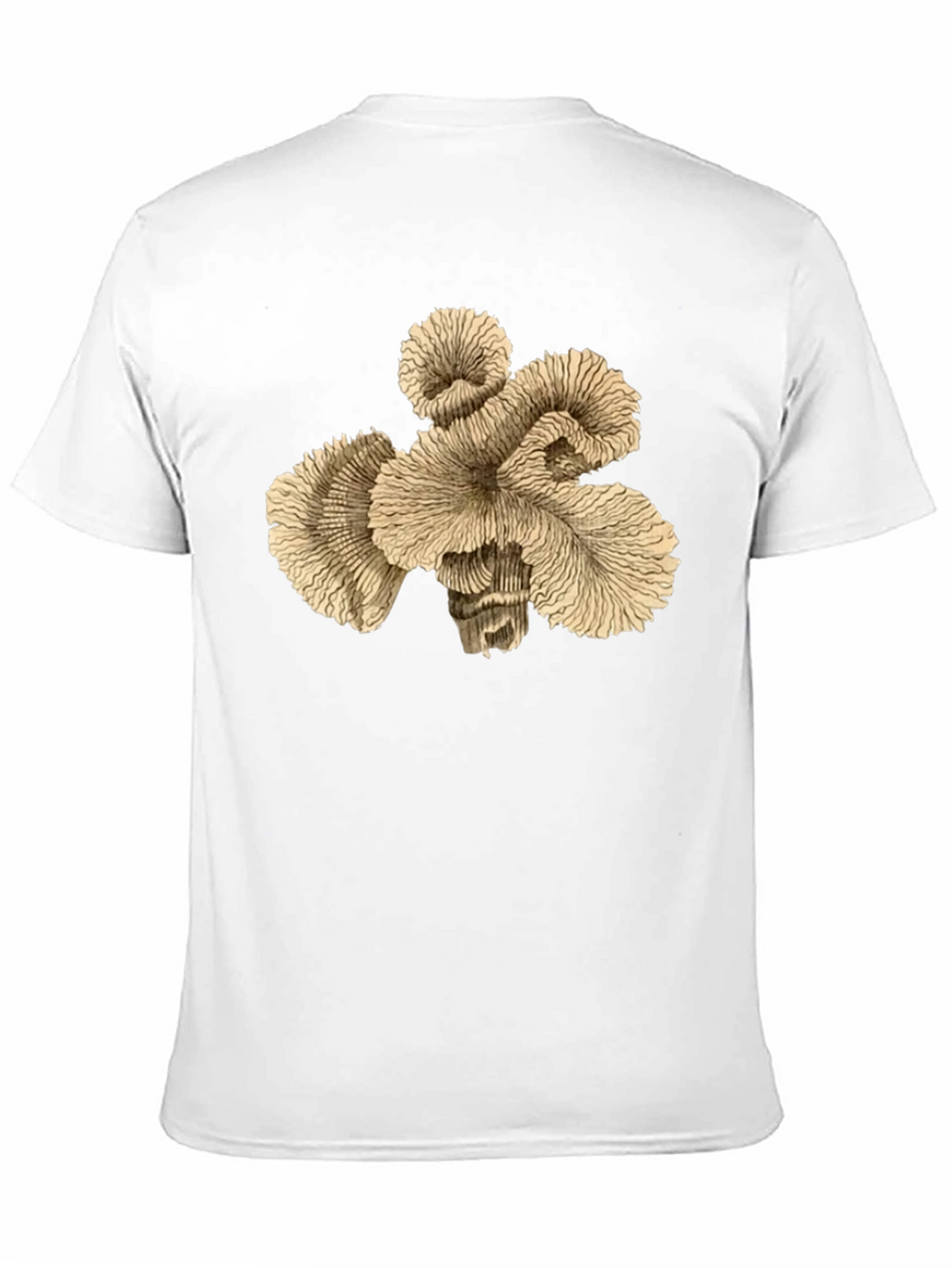Abstract Coral Graphic Print T-Shirt