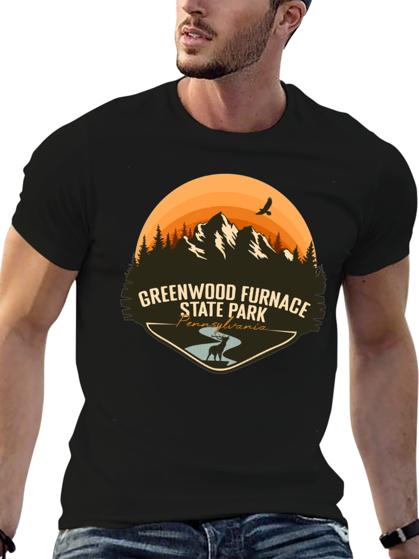Greenwood Furnace State Park T-Shirt