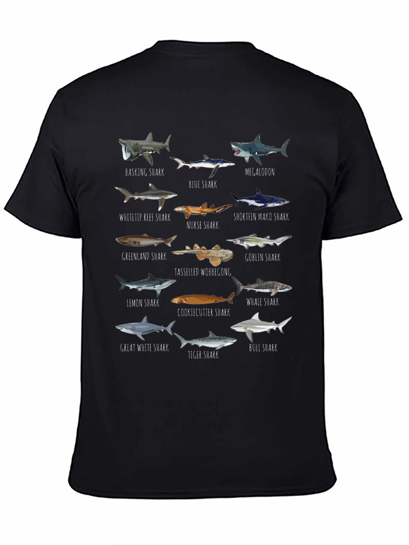 Shark Species Graphic T-Shirt