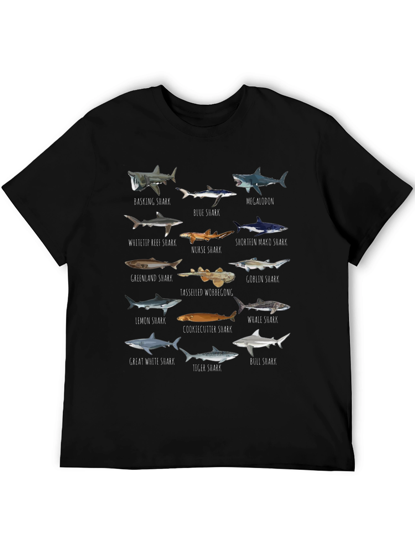 Shark Species Graphic T-Shirt