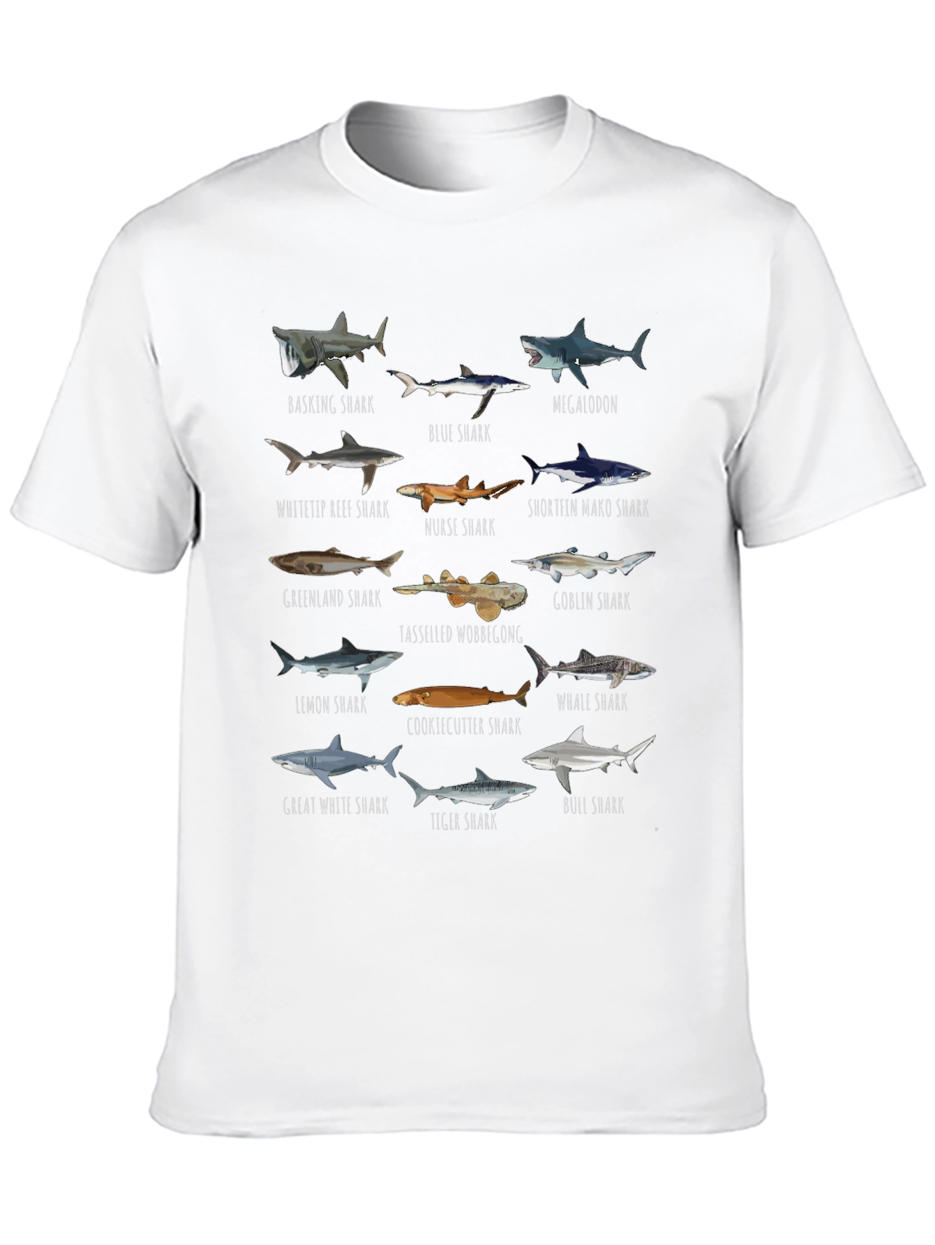 Shark Species Graphic T-Shirt