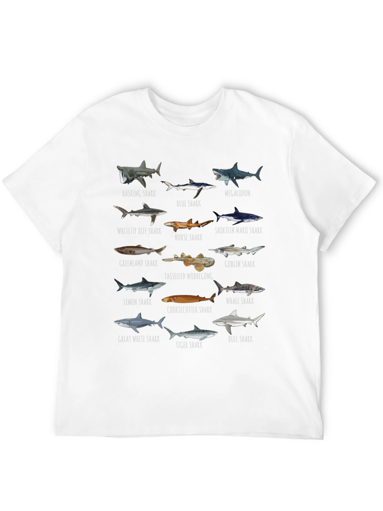 Shark Species Graphic T-Shirt
