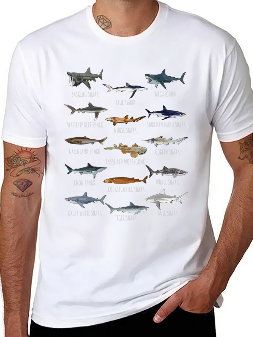 Shark Species Graphic T-Shirt