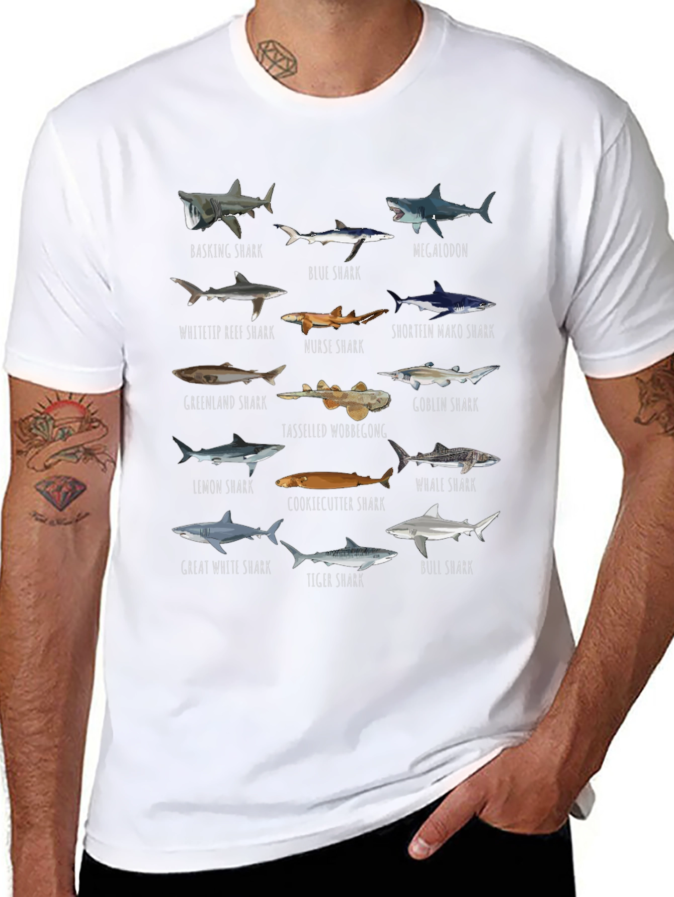 Shark Species Graphic T-Shirt