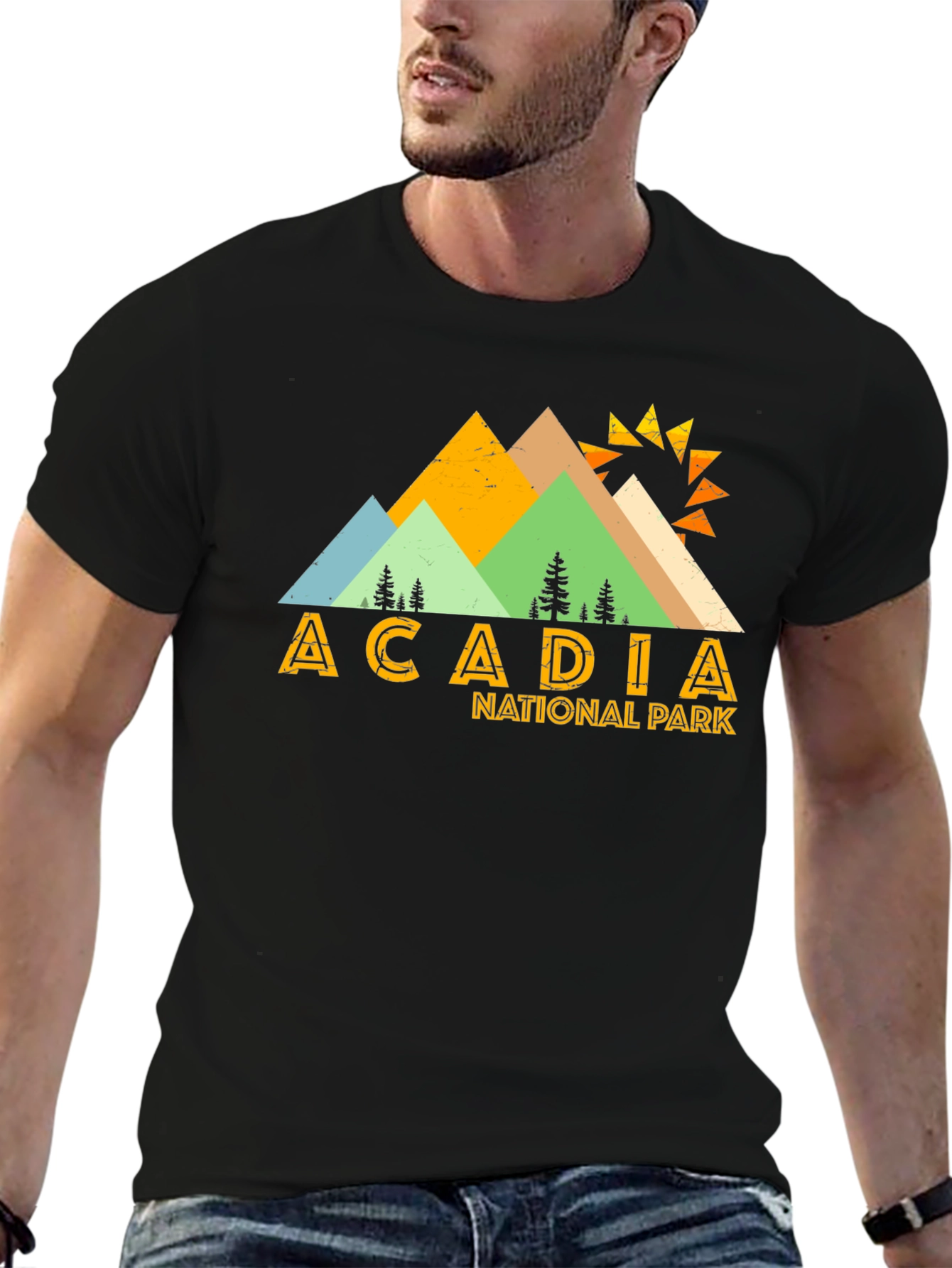 Acadia National Park Graphic Tee - Black Cotton T-Shirt