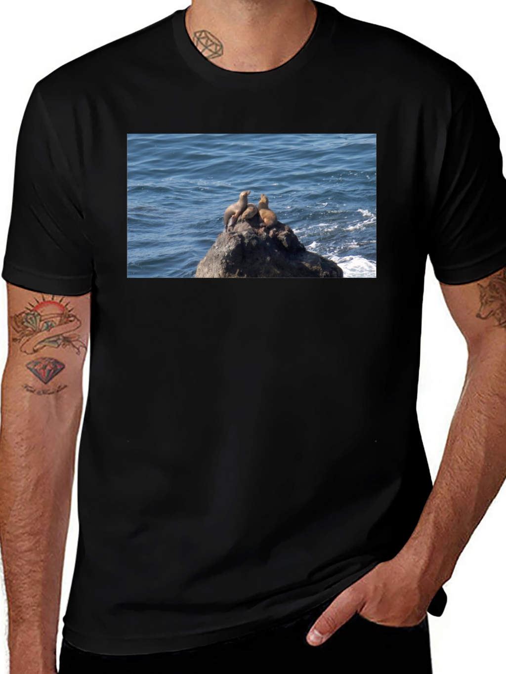 Sea Lions on Rock Graphic T-Shirt