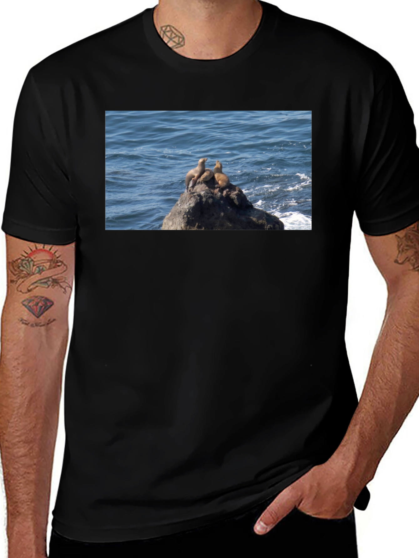 Sea Lions on Rock Graphic T-Shirt