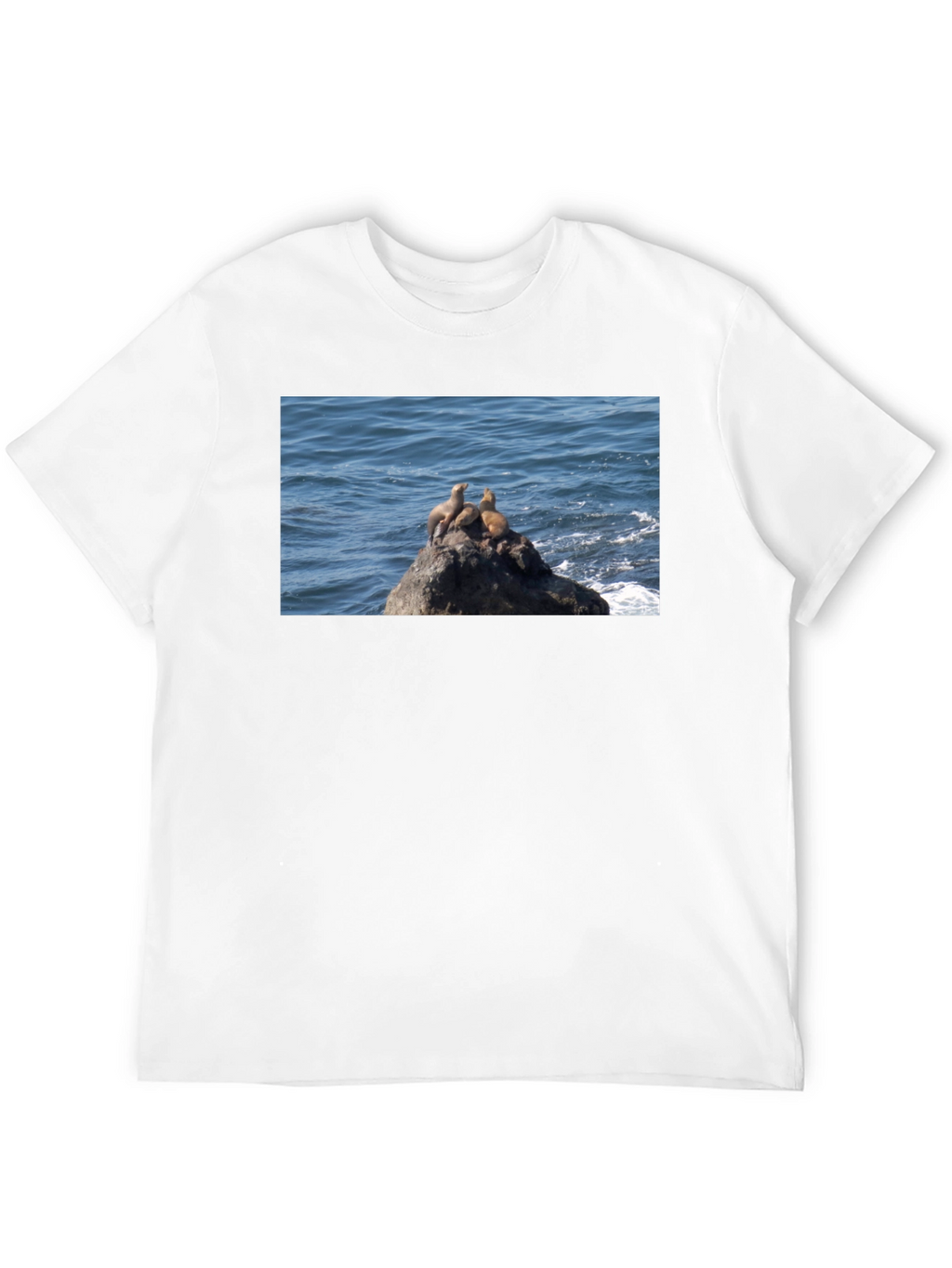 Sea Lions on Rock Graphic T-Shirt