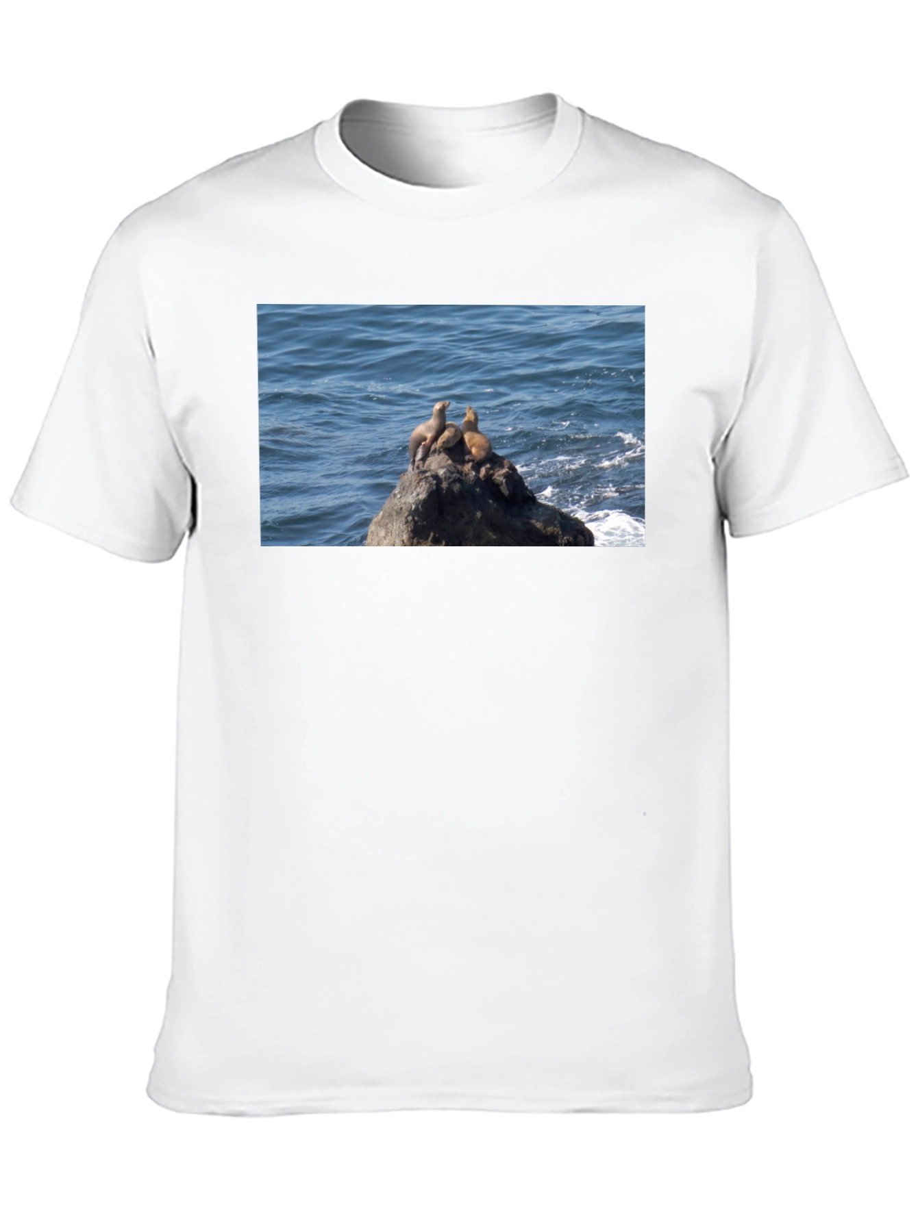 Sea Lions on Rock Graphic T-Shirt