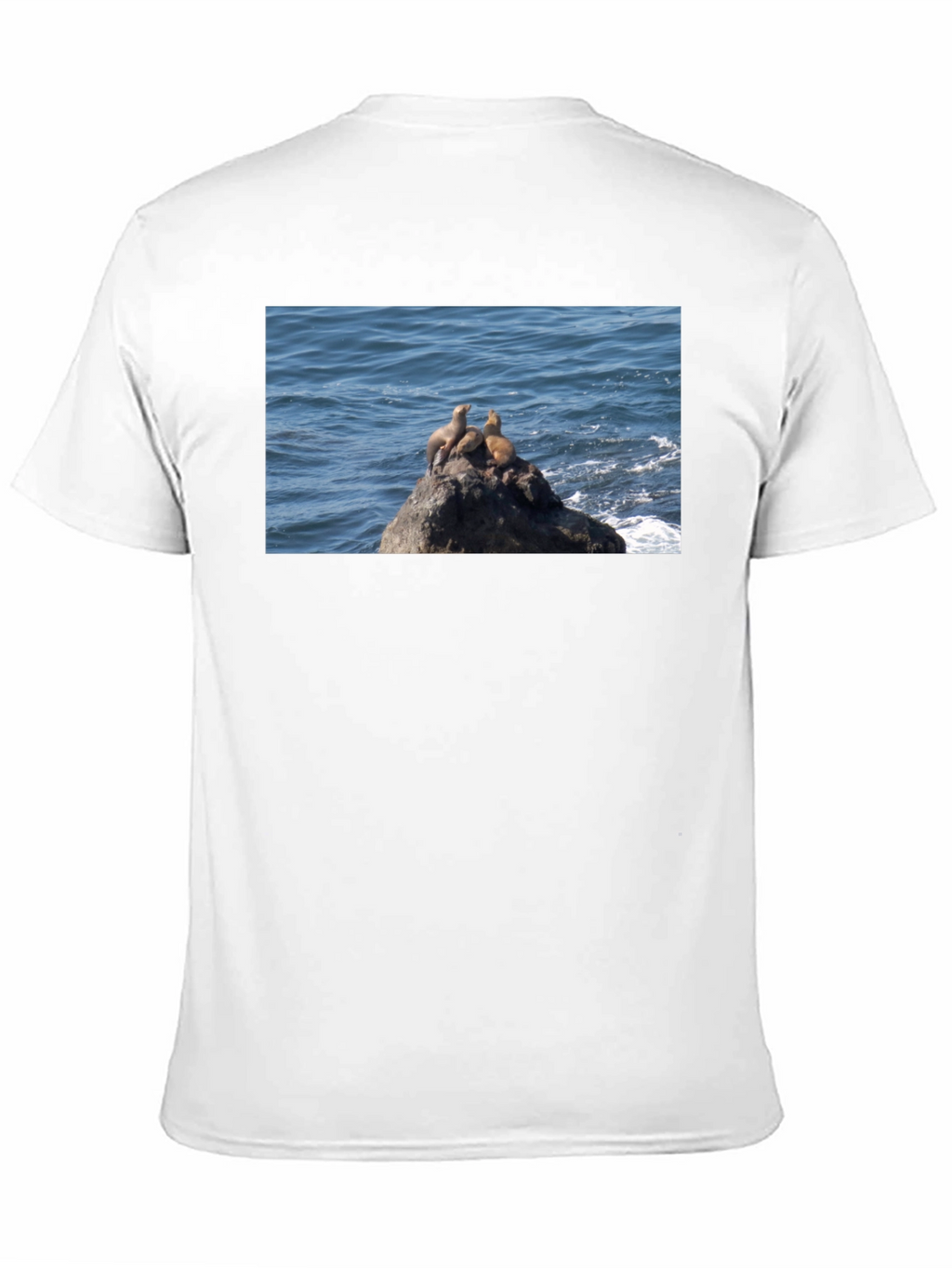 Sea Lions on Rock Graphic T-Shirt