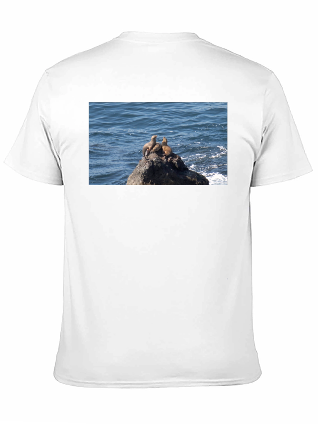 Sea Lions on Rock Graphic T-Shirt