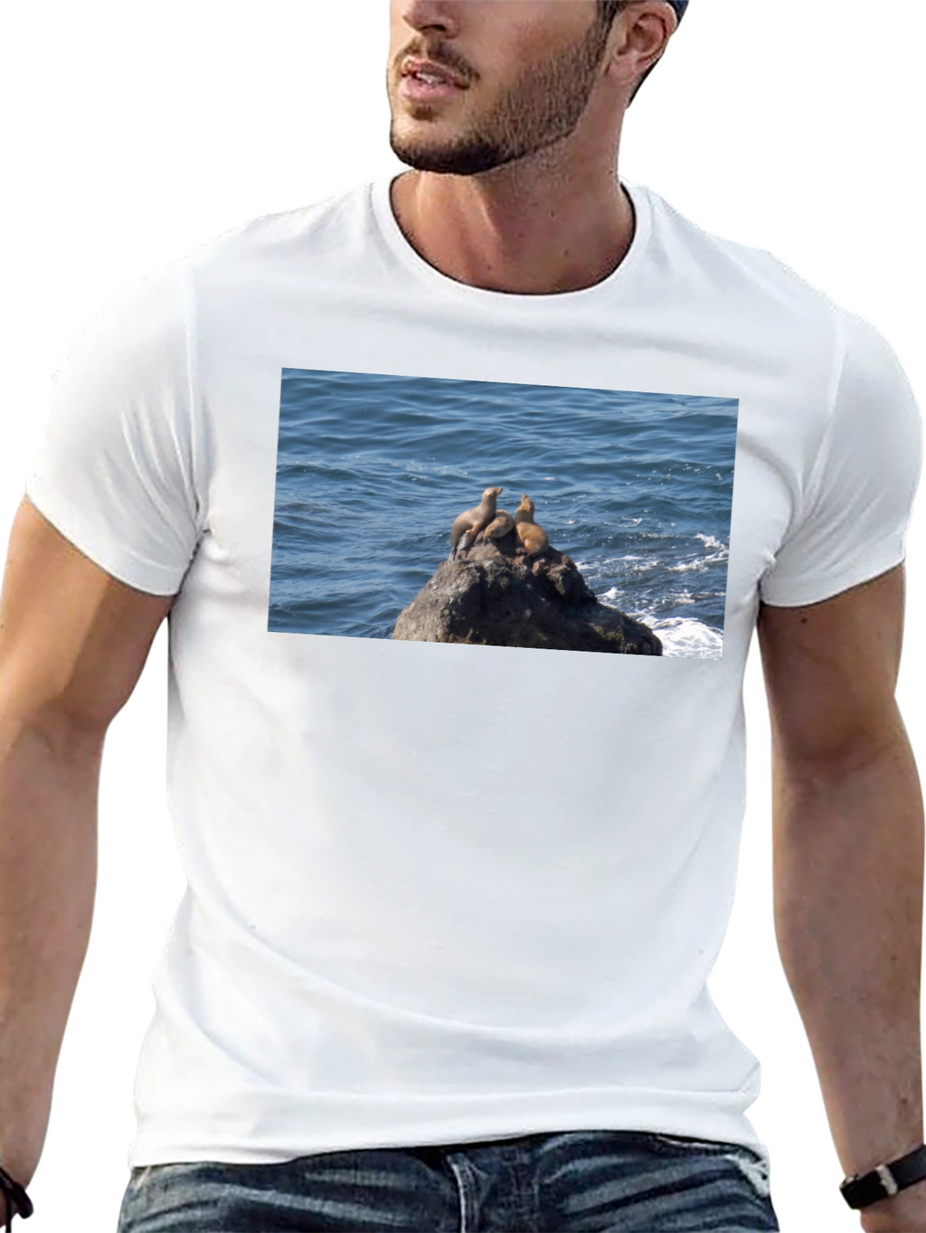 Sea Lions on Rock Graphic T-Shirt