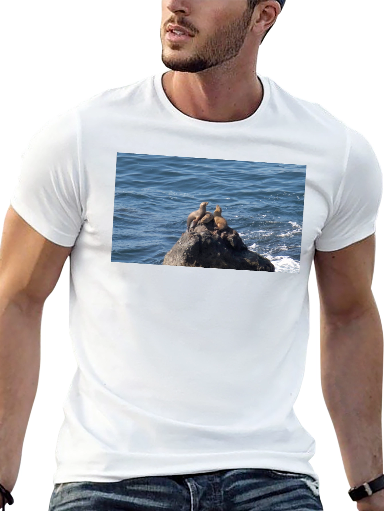 Sea Lions on Rock Graphic T-Shirt