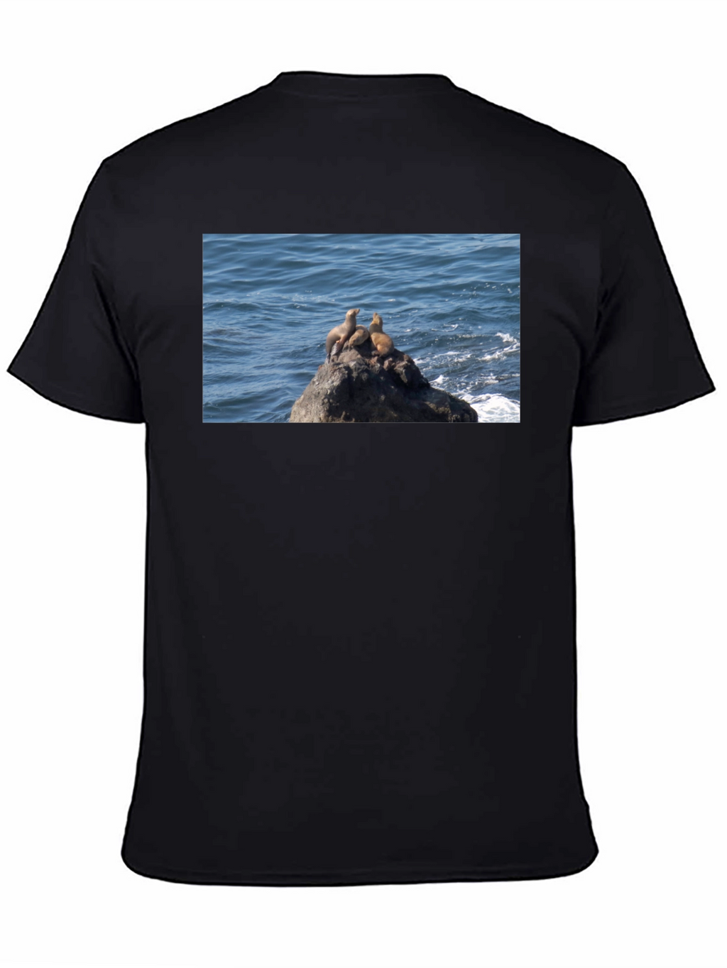 Sea Lions on Rock Graphic T-Shirt