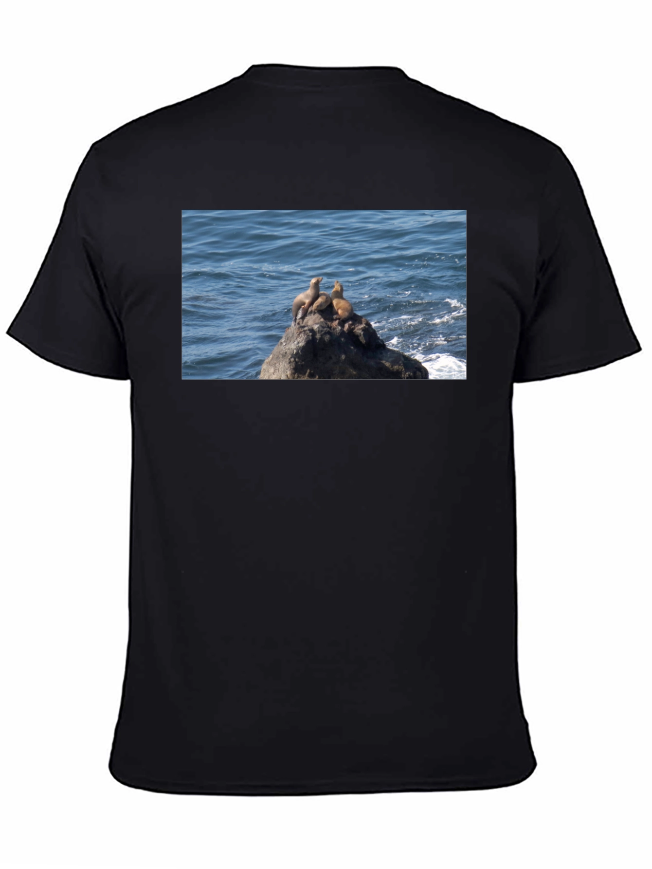 Sea Lions on Rock Graphic T-Shirt
