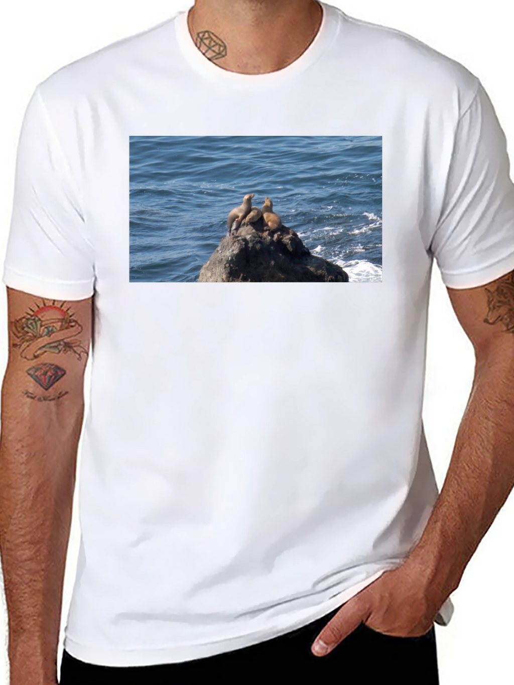 Sea Lions on Rock Graphic T-Shirt