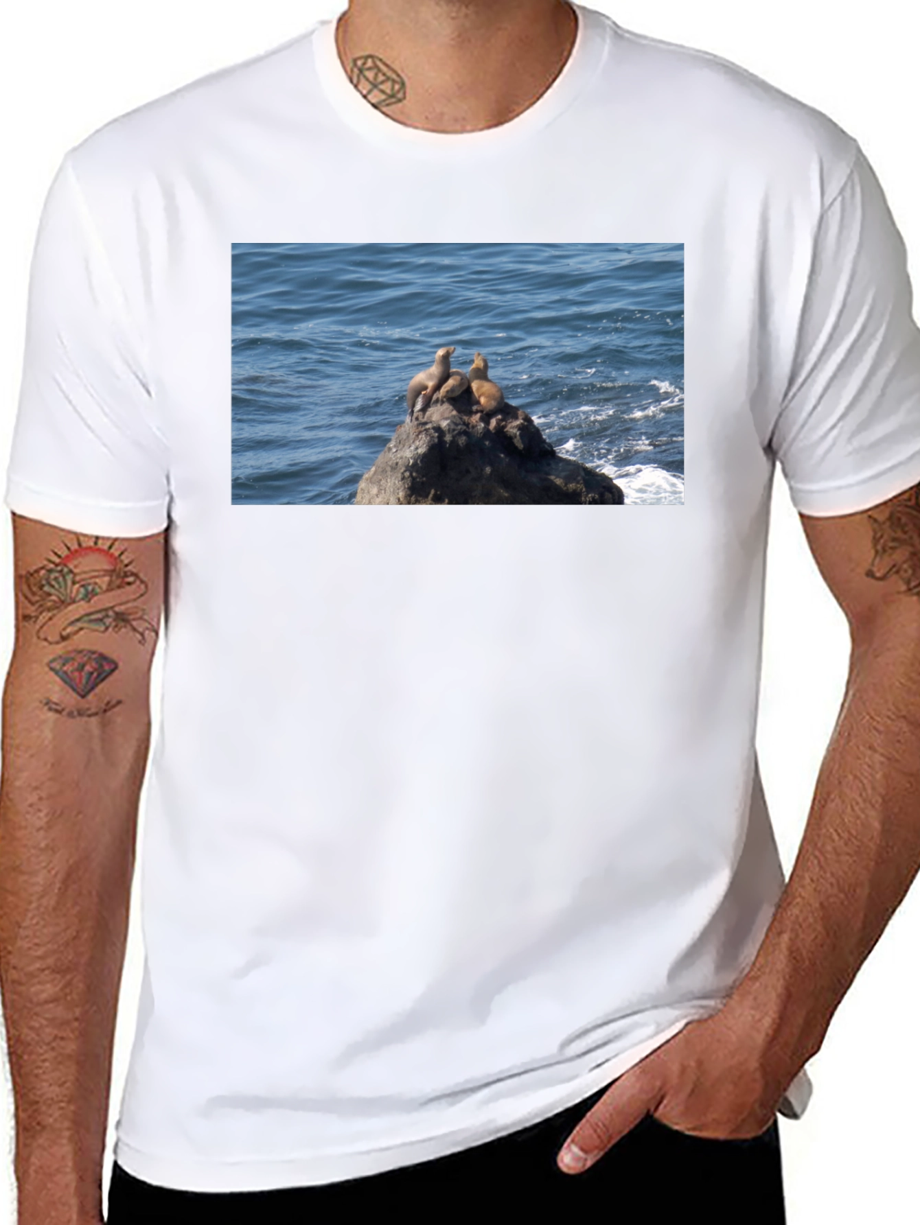 Sea Lions on Rock Graphic T-Shirt