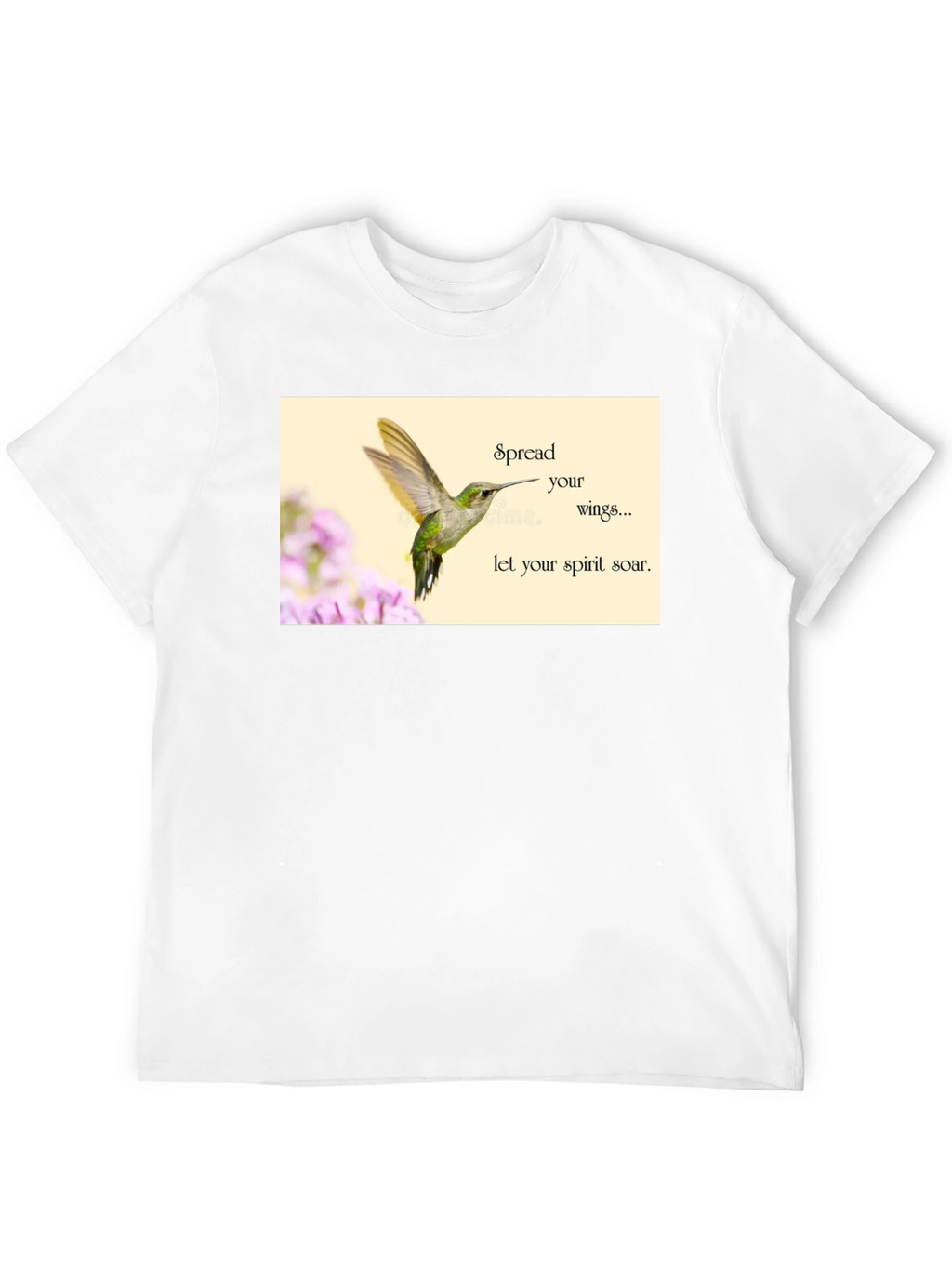 Hummingbird Spirit Soar T-Shirt