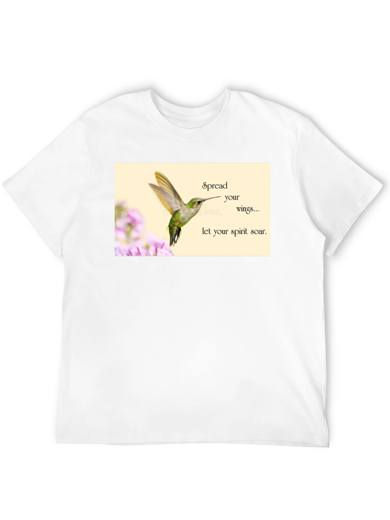 Hummingbird Spirit Soar T-Shirt