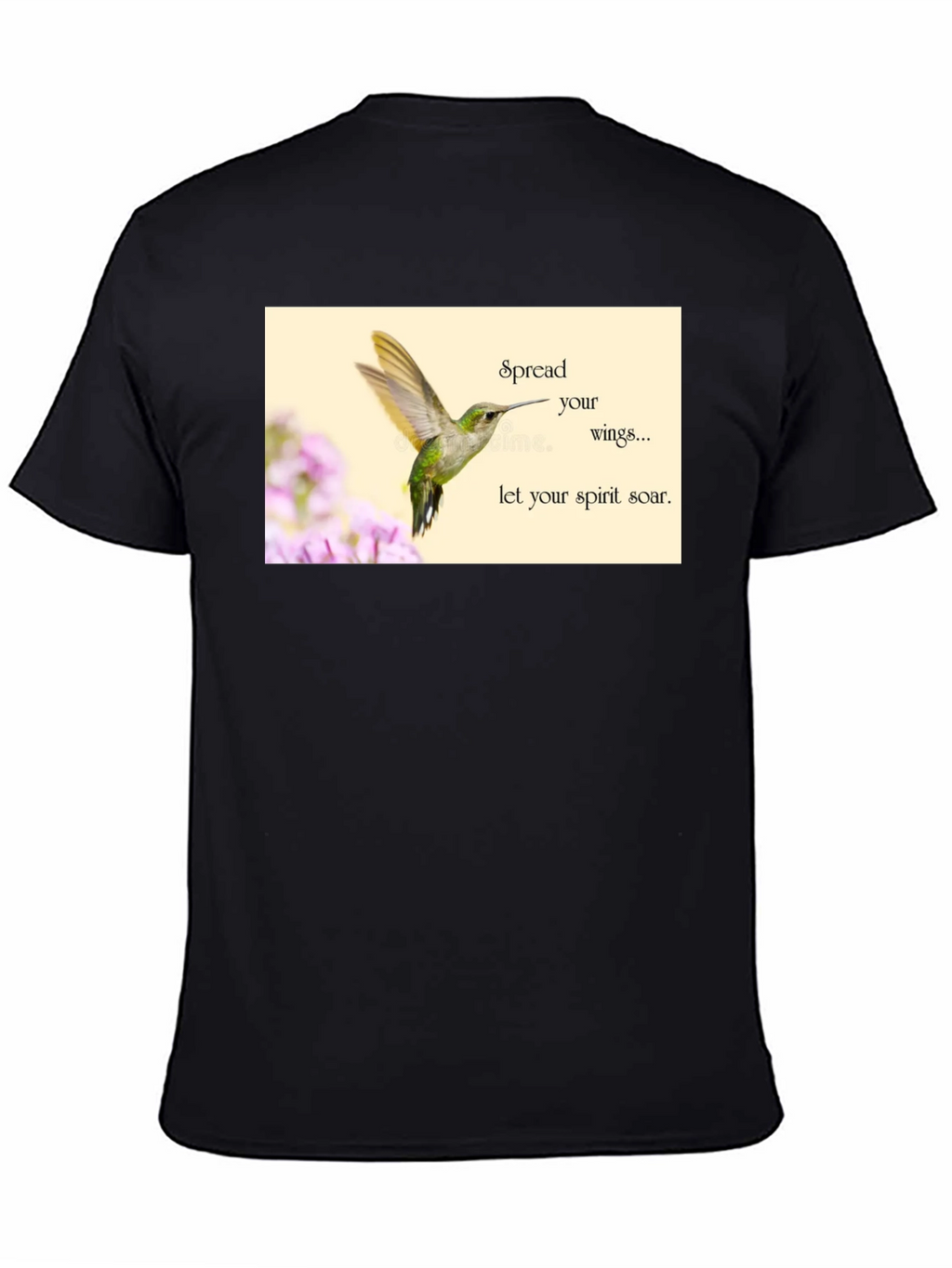 Hummingbird Spirit Soar T-Shirt