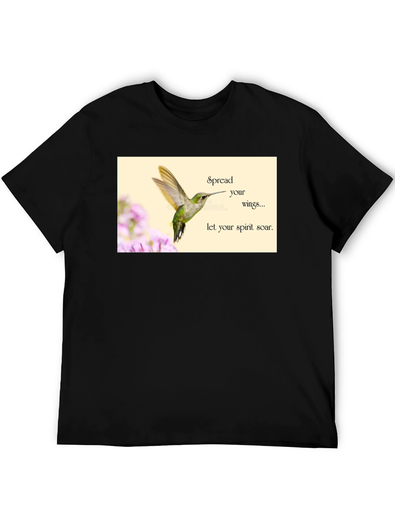 Hummingbird Spirit Soar T-Shirt