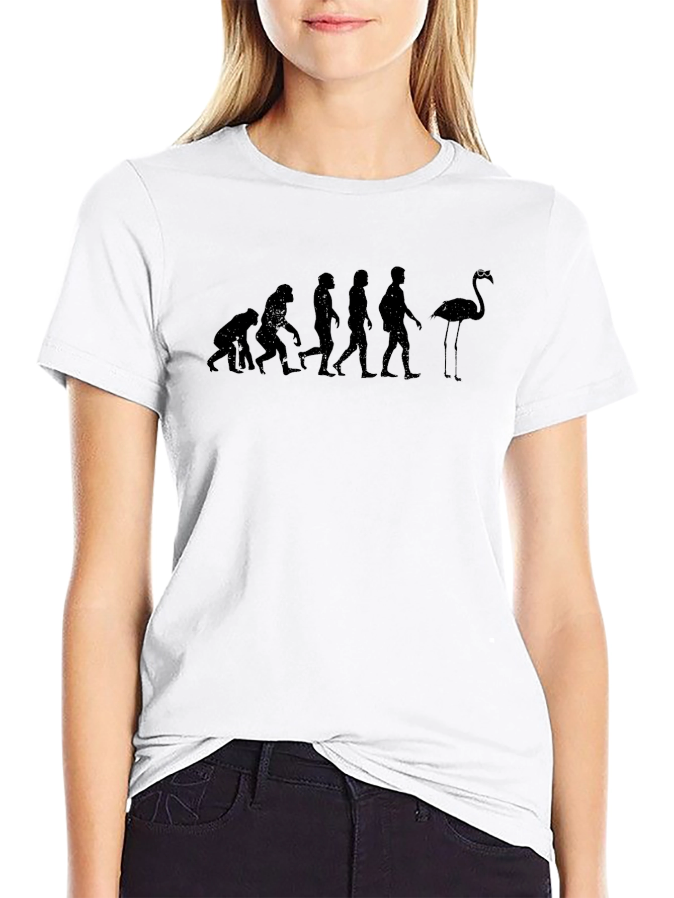 Evolution of Flamingo T-Shirt