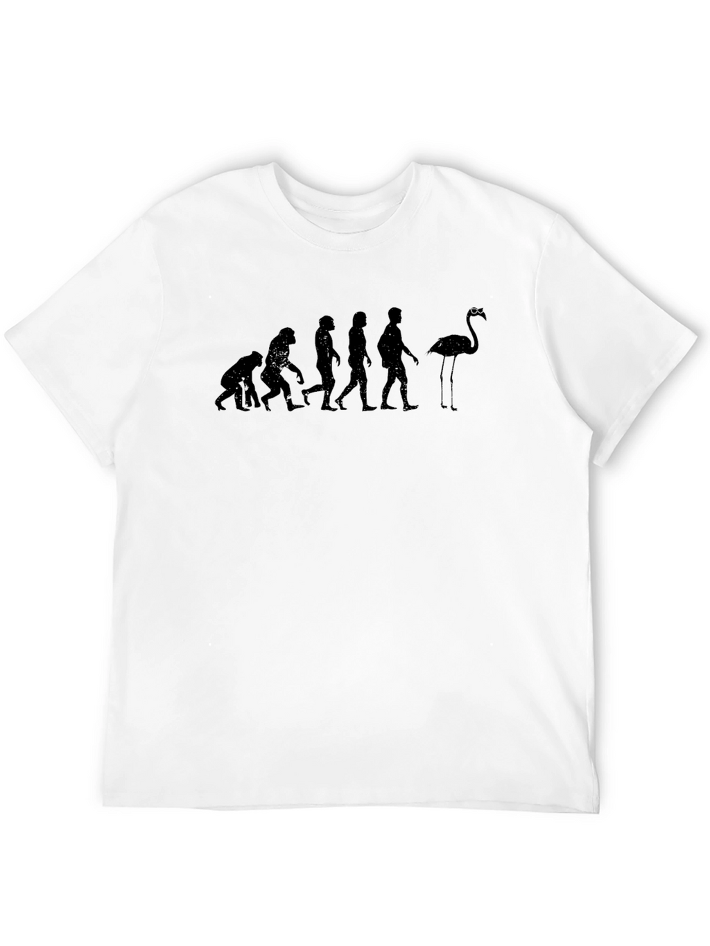 Evolution of Flamingo T-Shirt