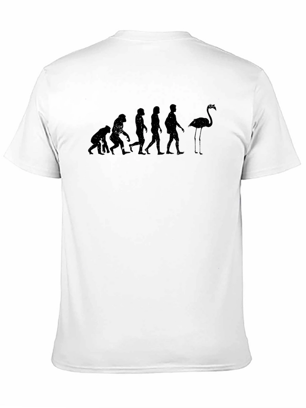 Evolution of Flamingo T-Shirt