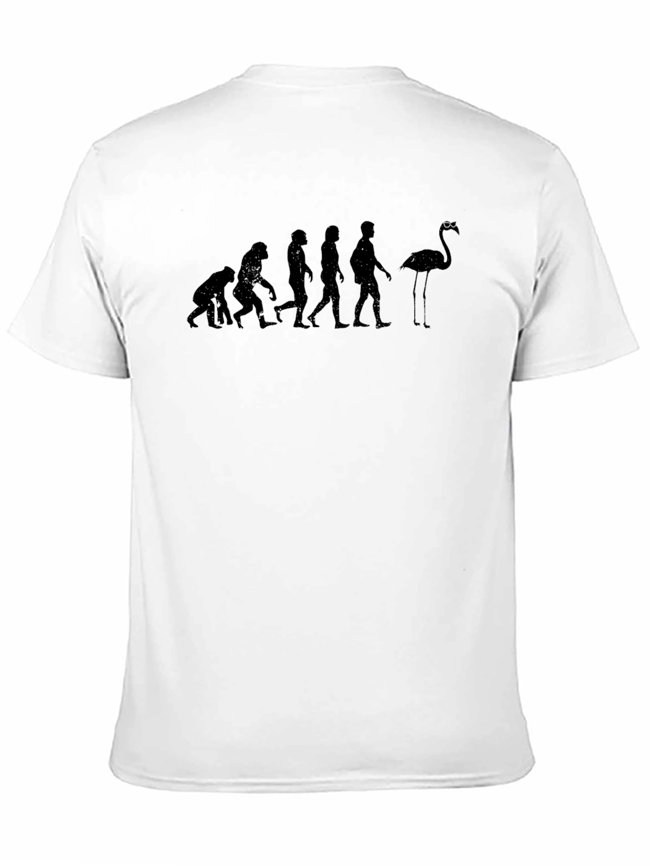 Evolution of Flamingo T-Shirt
