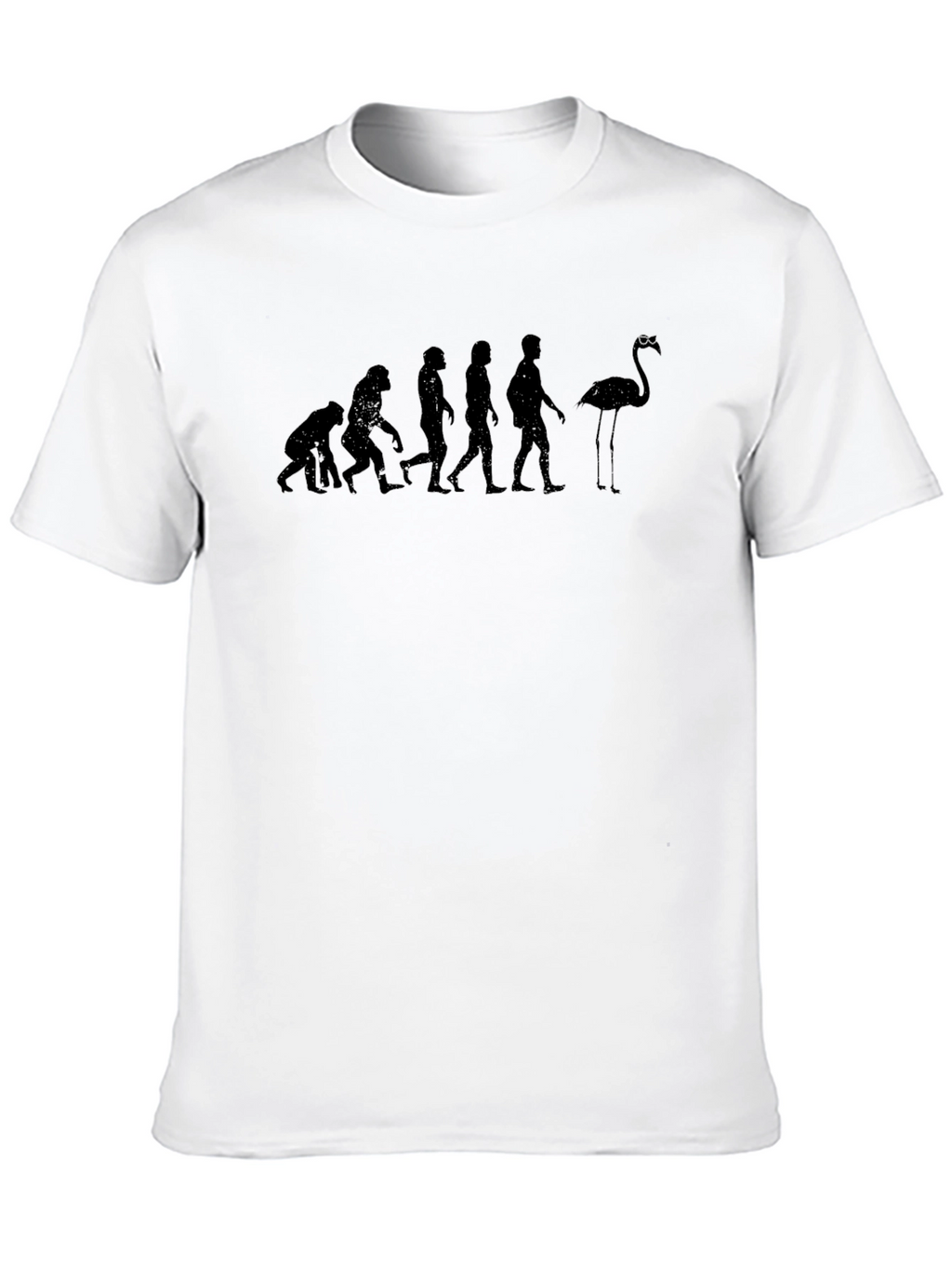 Evolution of Flamingo T-Shirt