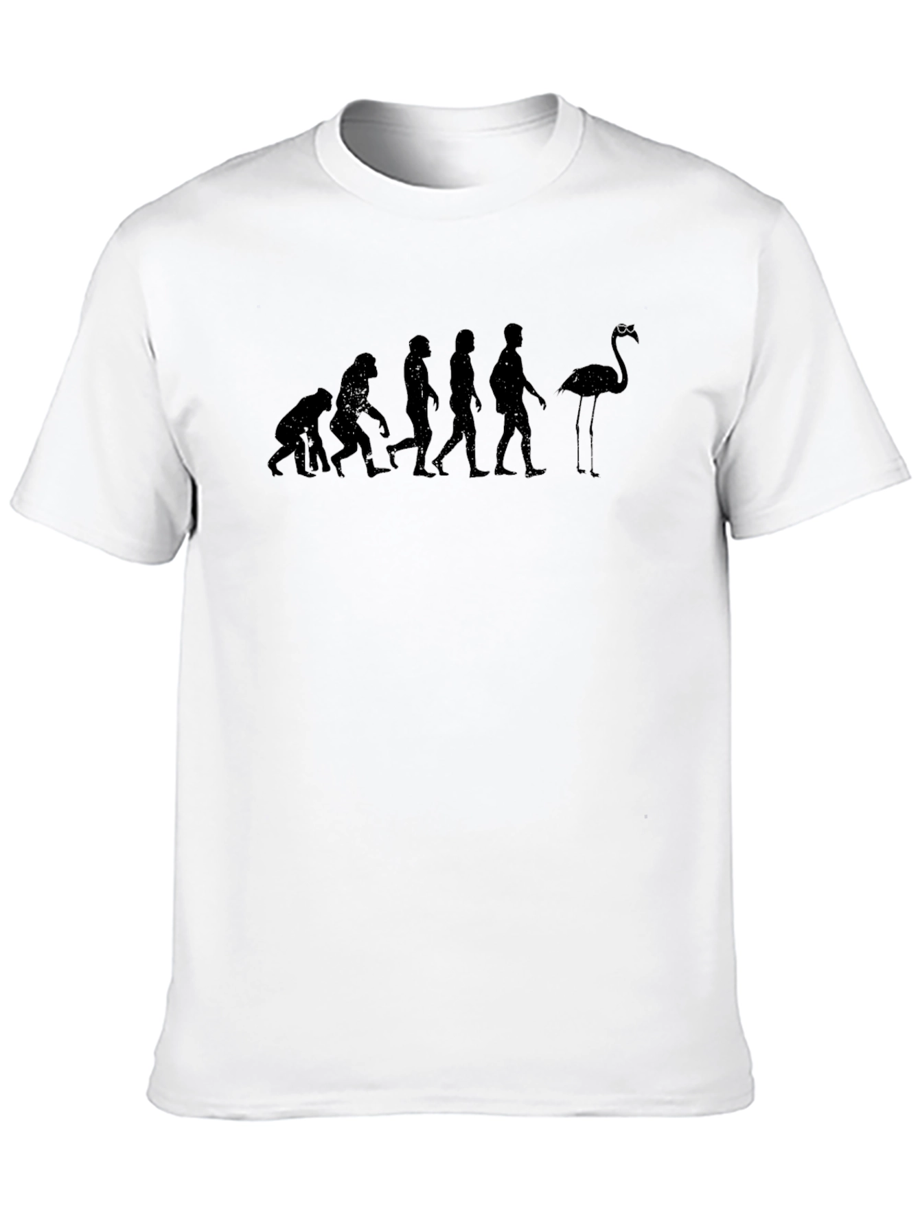 Evolution of Flamingo T-Shirt
