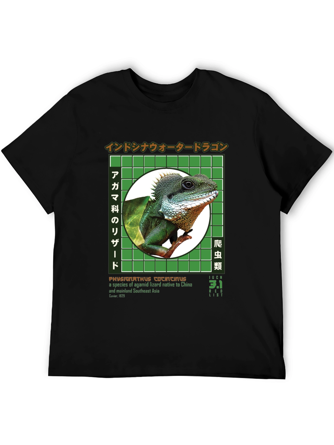 Water Dragon Graphic T-Shirt