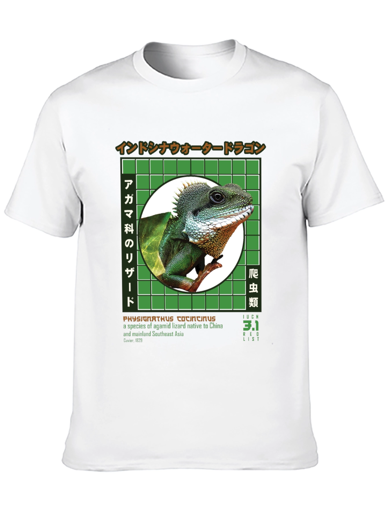 Water Dragon Graphic T-Shirt
