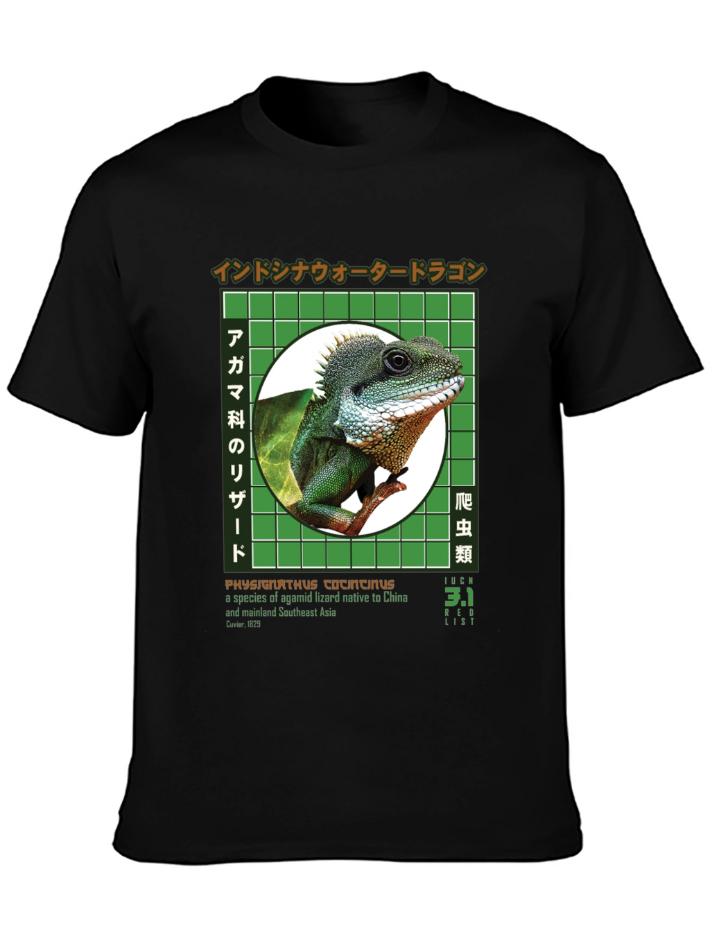 Water Dragon Graphic T-Shirt