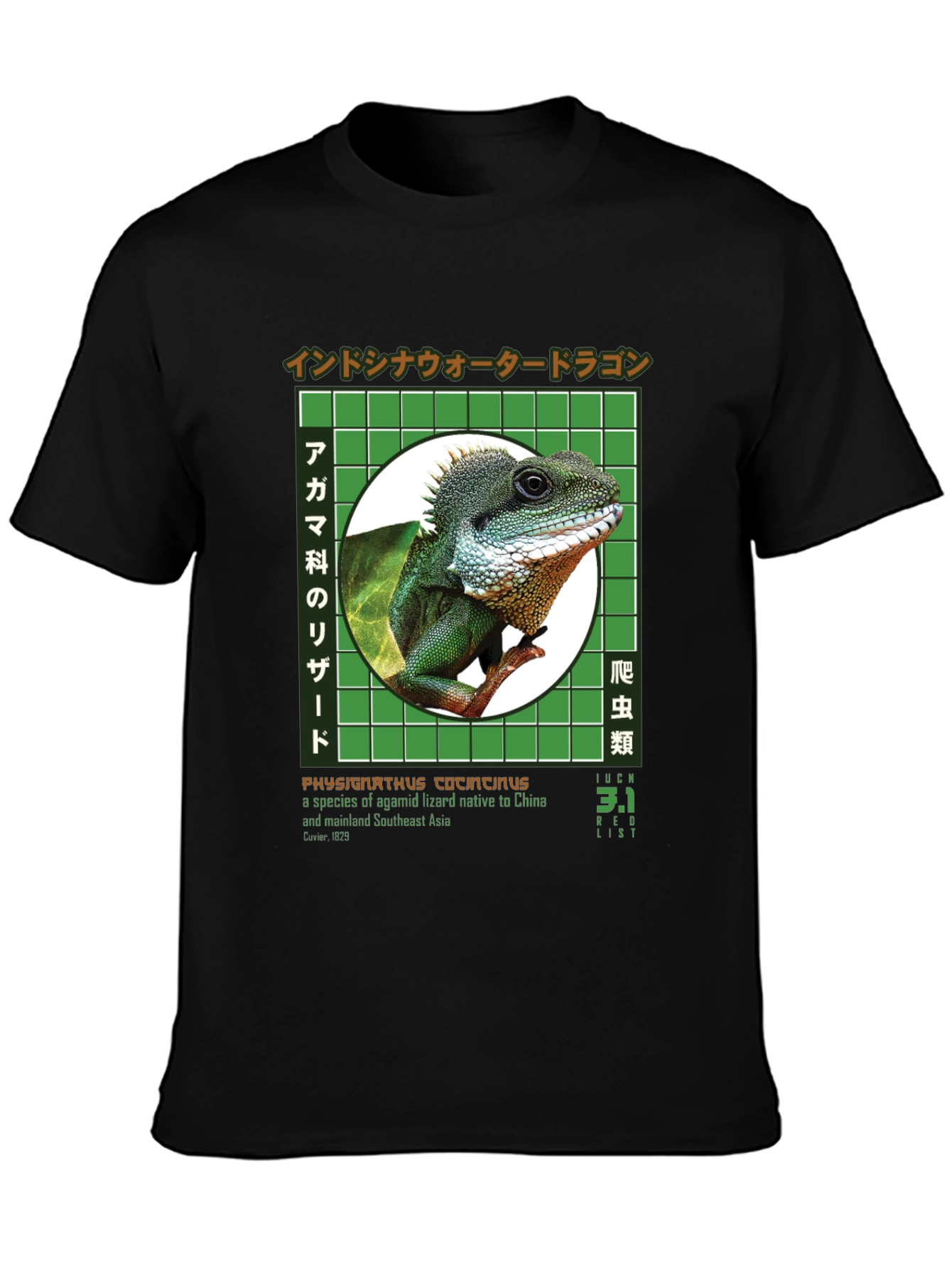 Water Dragon Graphic T-Shirt