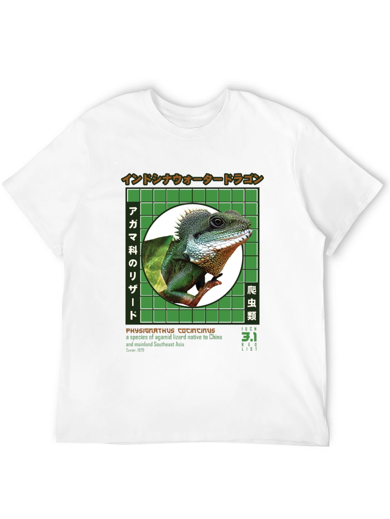 Water Dragon Graphic T-Shirt