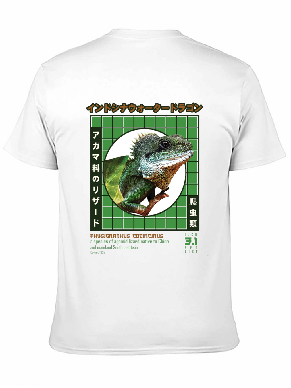 Water Dragon Graphic T-Shirt