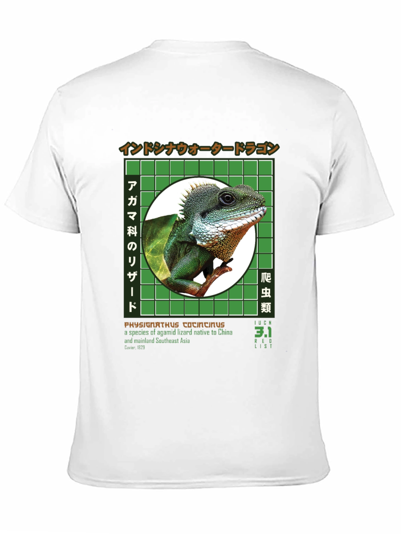 Water Dragon Graphic T-Shirt