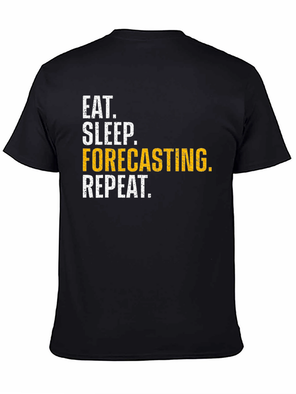 Eat Sleep Forecasting Repeat T-Shirt