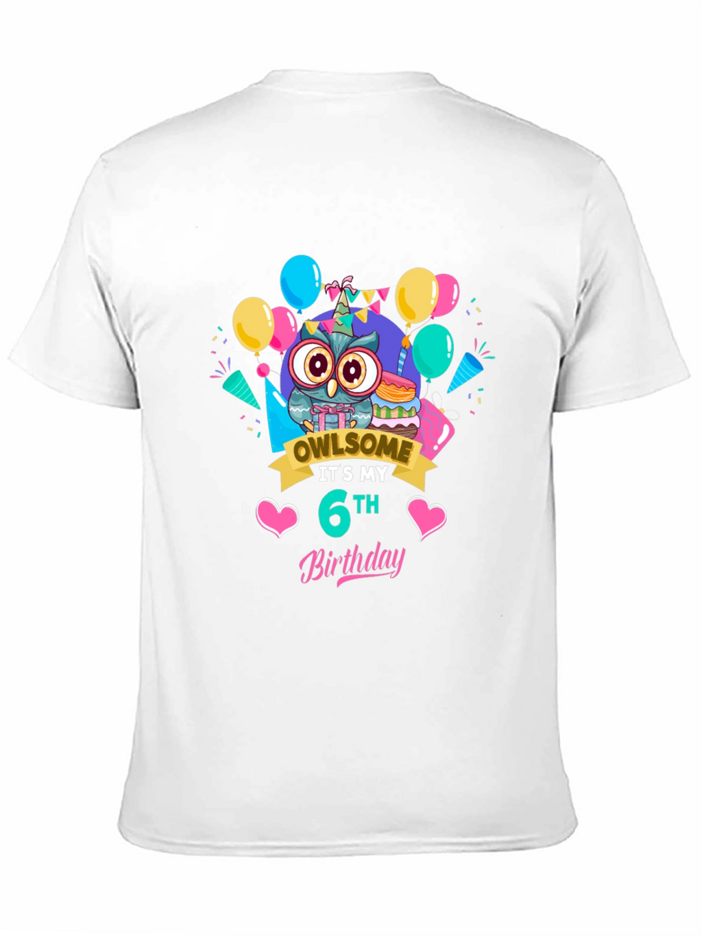 Owl Birthday 6th T-Shirt