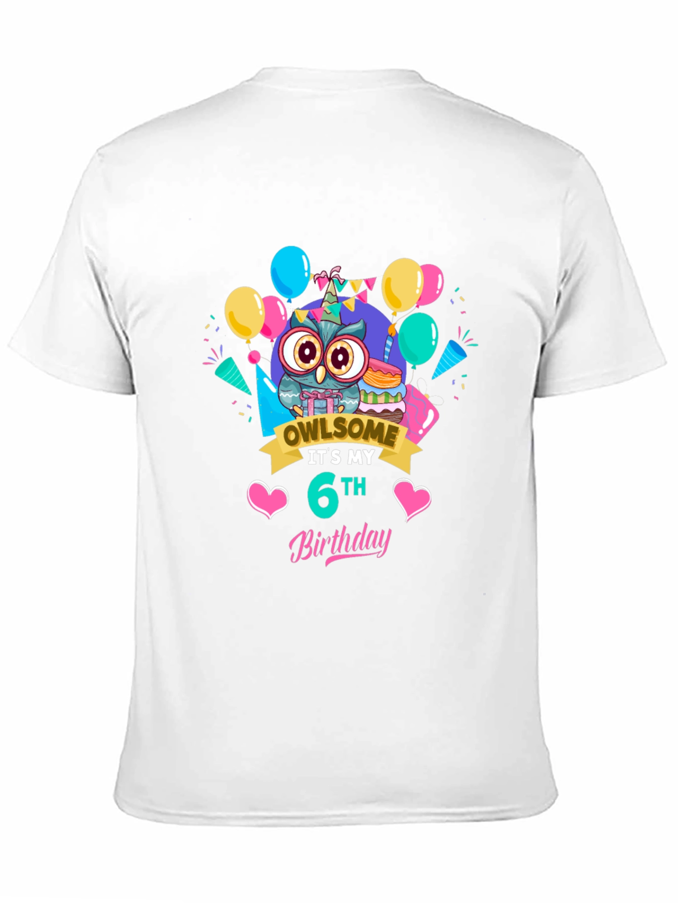 Owl Birthday 6th T-Shirt