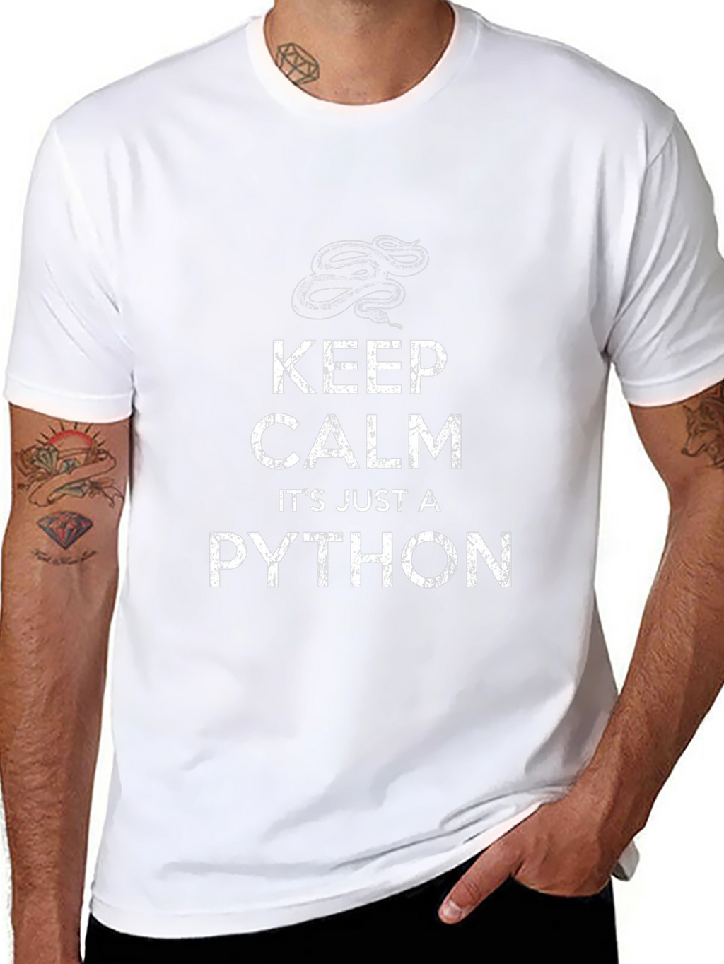 Keep Calm Its Just a Python T-Shirt