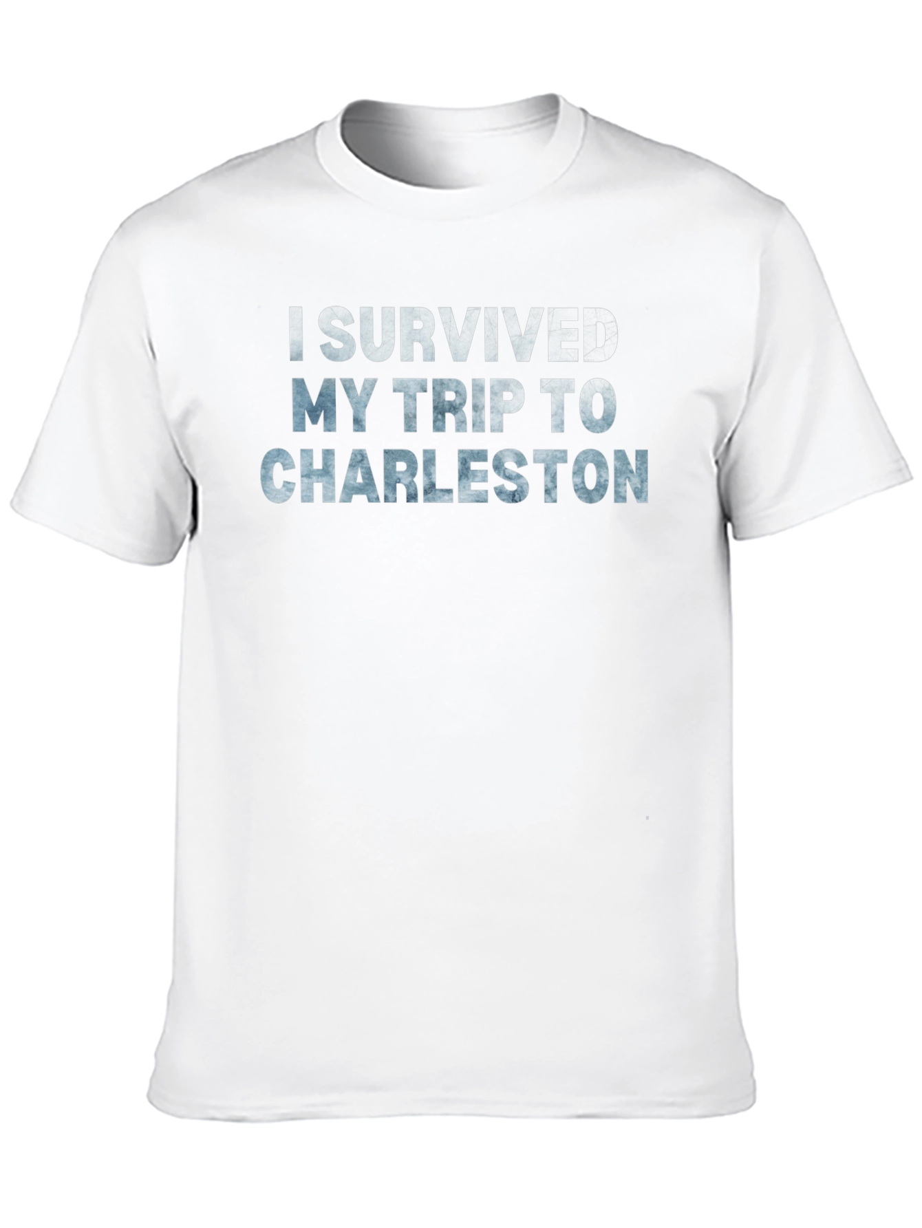 I Survived My Trip To Charleston T-Shirt