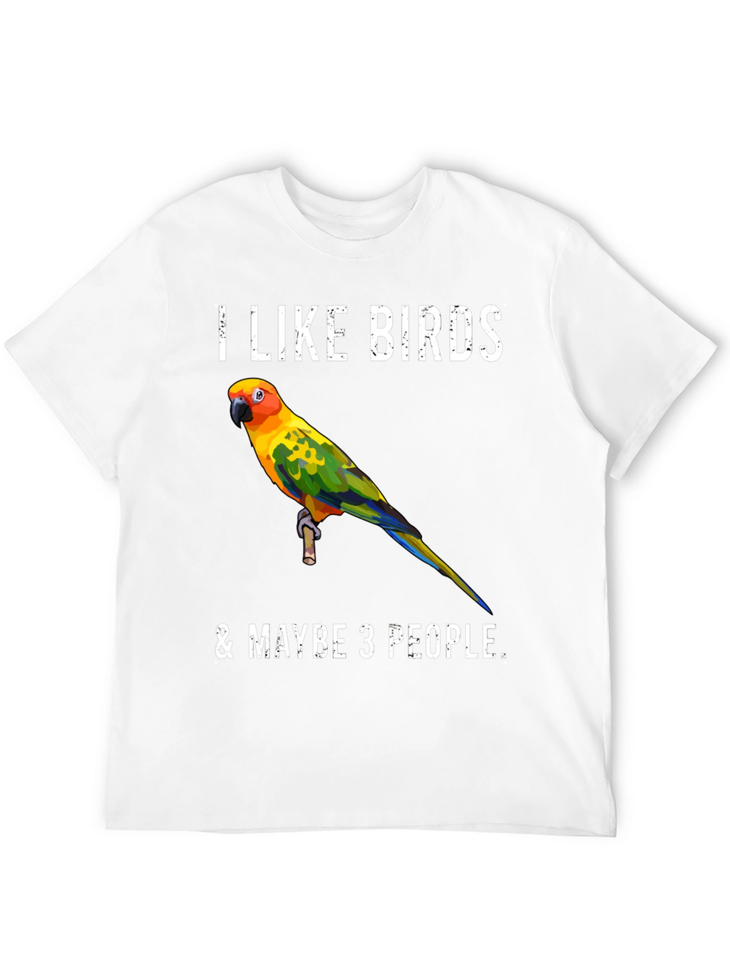I Like Birds & Maybe 3 People T-Shirt