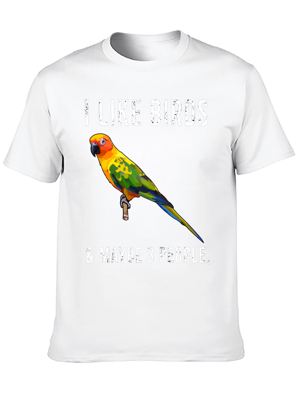 I Like Birds & Maybe 3 People T-Shirt