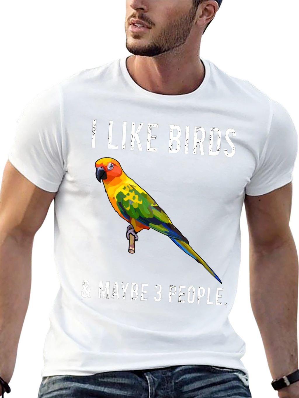 I Like Birds & Maybe 3 People T-Shirt