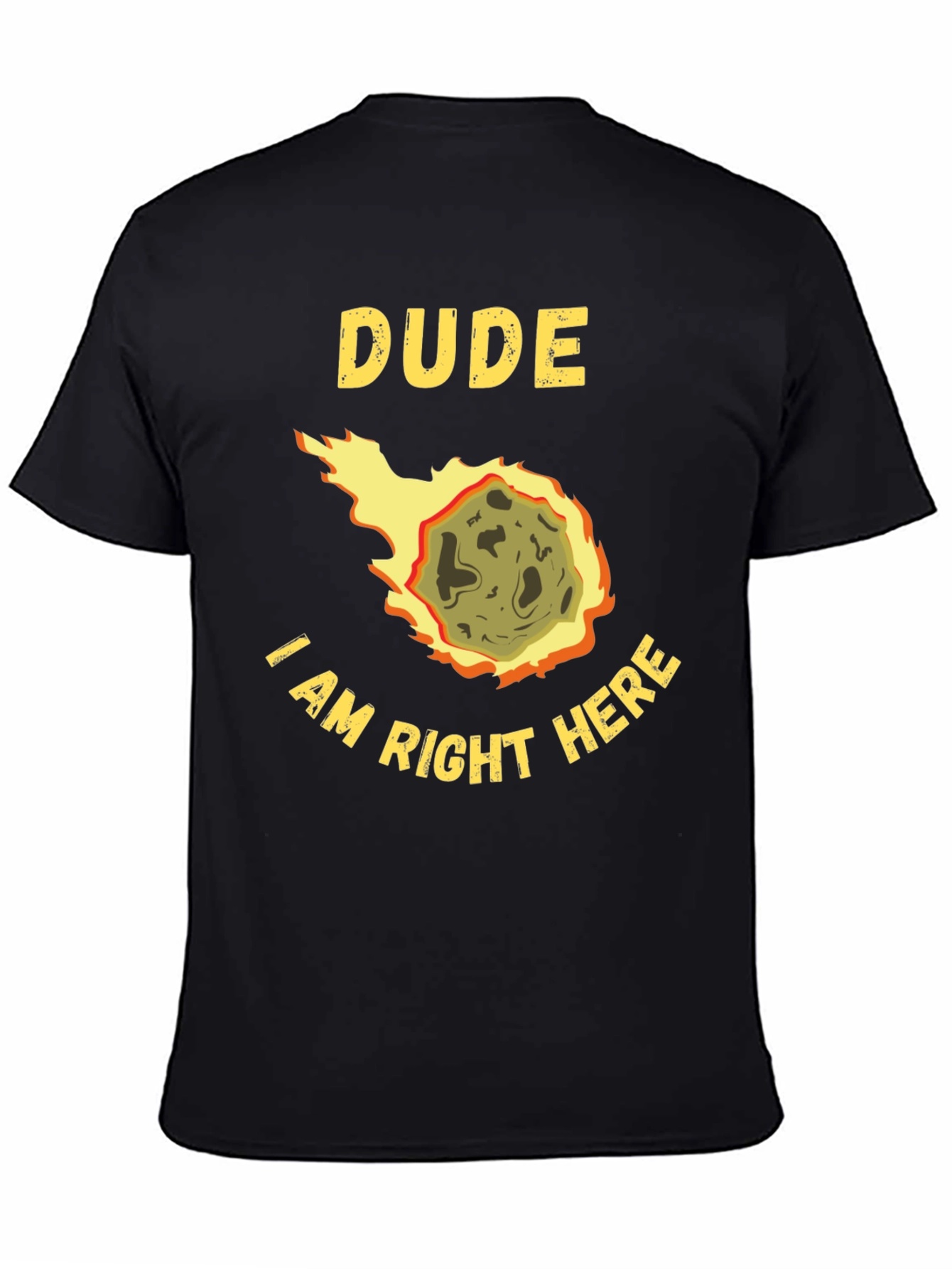 Dude I Am Right Here Meteor T-Shirt