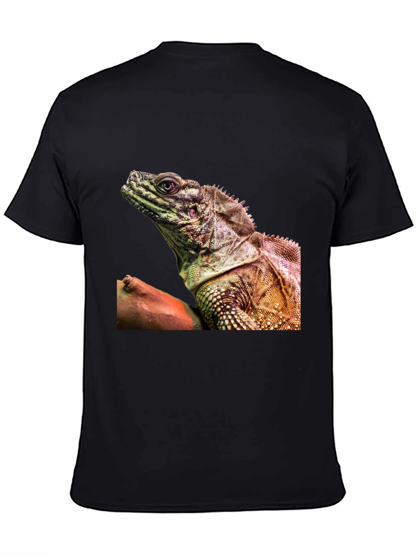 Lizard Graphic Tee - Exotic Reptile Print T-Shirt