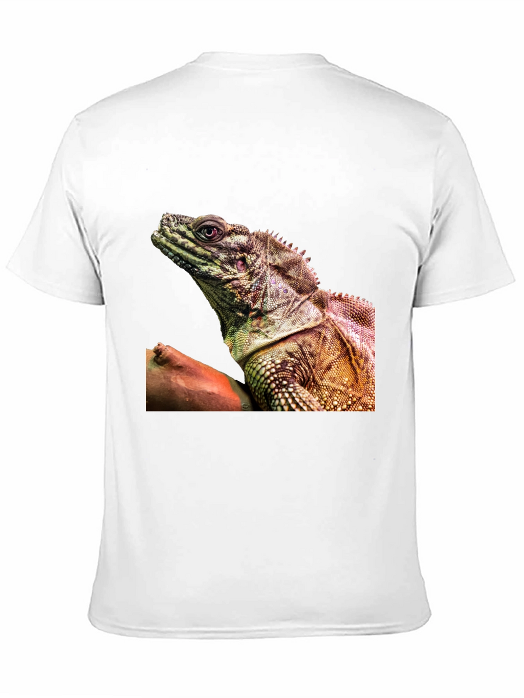 Lizard Graphic Tee - Exotic Reptile Print T-Shirt